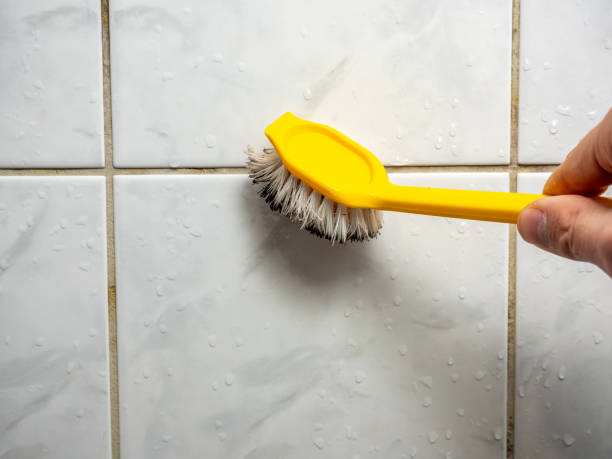 Best Water Damage Restoration  in Harbour Heights, FL