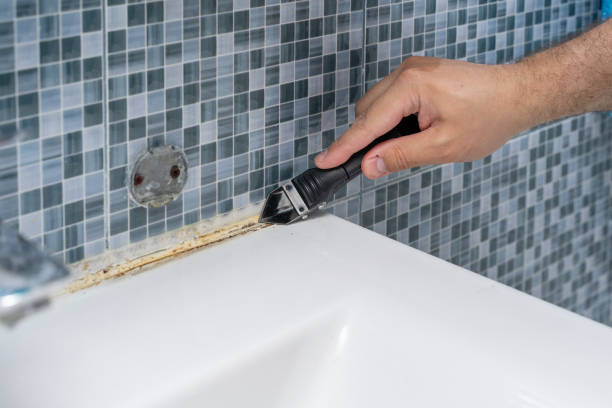 Best Mold Testing  in Harbour Heights, FL
