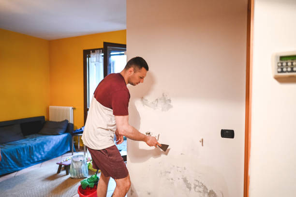 Best Affordable Mold Removal  in Harbour Heights, FL